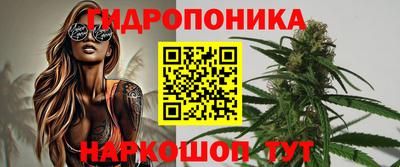 гашик Усть-Илимск
