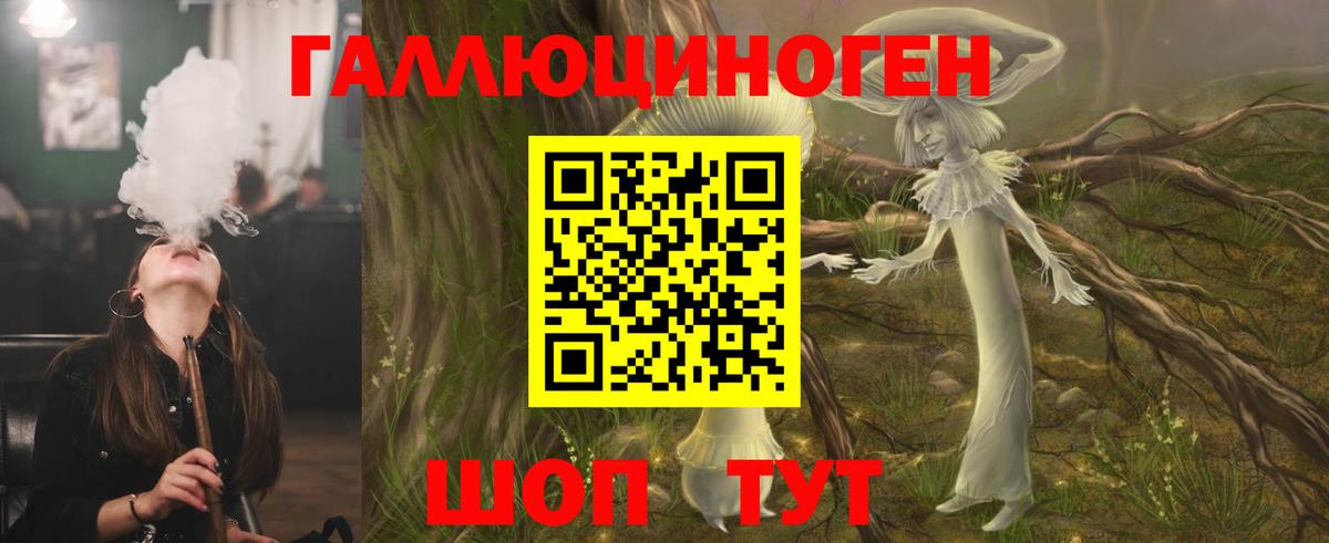 Богданович  Псилоцибиновые грибы MAGIC MUSHROOMS  Вход с VPN 